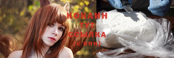 spice Бугульма