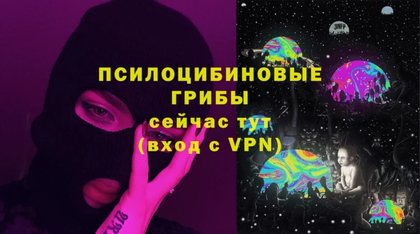 spice Бородино
