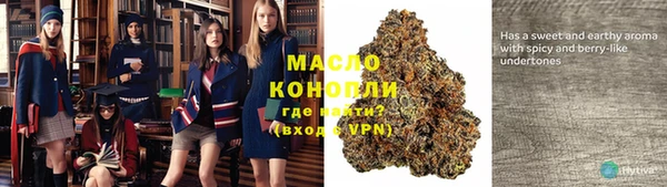 spice Бородино