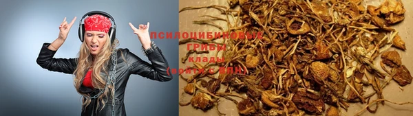 spice Бородино