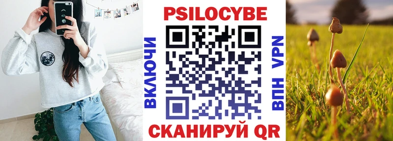 Купить где  Серов  Галлюциногенные грибы Cubensis 